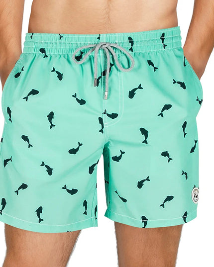 47773218898267|47773218931035|47773218963803