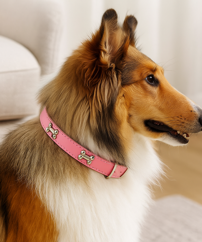Skórzana obroża dla psa z ozdobami w kształcie kostek