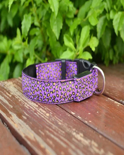 Obroża dla psa LED w panterkę
