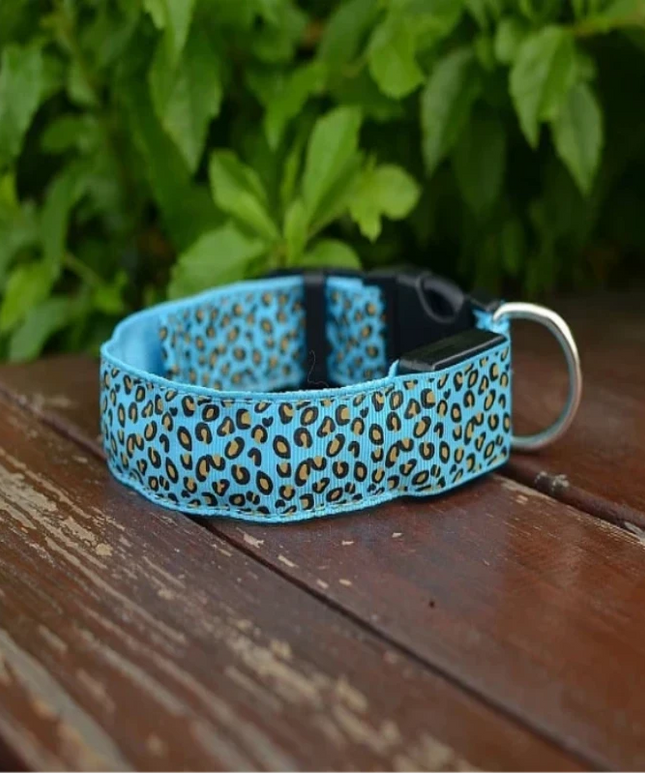 Obroża dla psa LED w panterkę