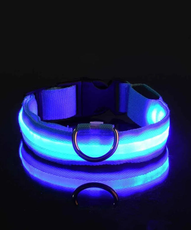 Obroża dla psa LED