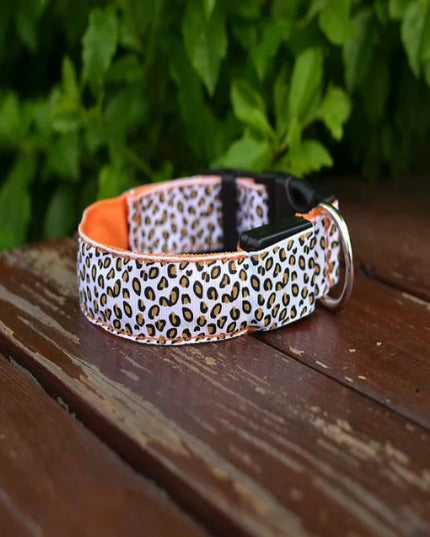 Obroża dla psa LED w panterkę