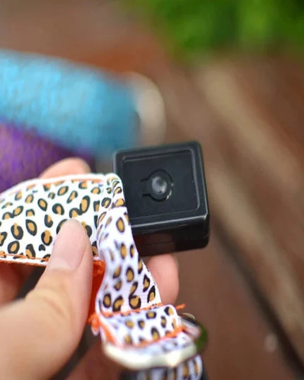 Obroża dla psa LED w panterkę