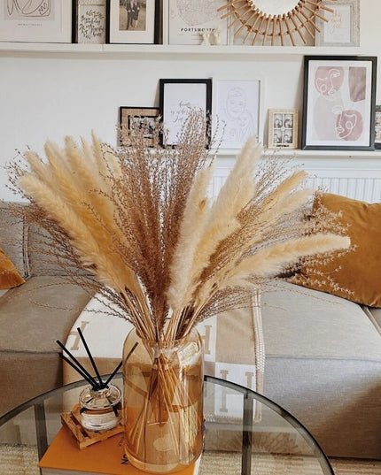 Trawa pampasowa w jasnych kolorach pióropusz długość 40 cm 10 sztuk