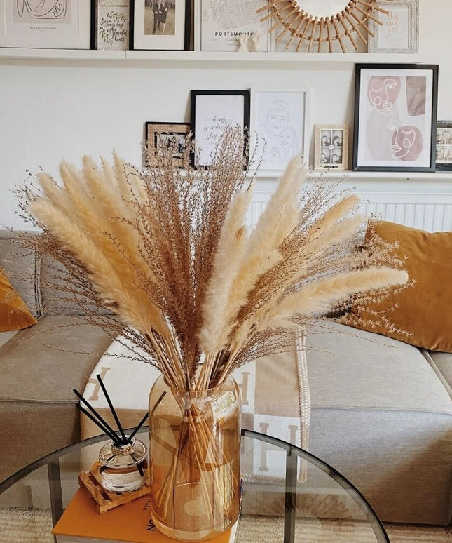 Trawa pampasowa w jasnych kolorach pióropusz długość 40 cm 10 sztuk