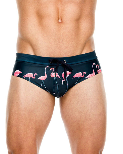Męskie slipy kąpielowe z motywem flamingów