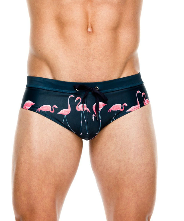 Męskie slipy kąpielowe z motywem flamingów