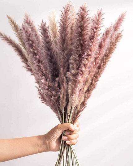 Trawa pampasowa dekoracyjne kwiaty długość 45 cm 15 sztuk