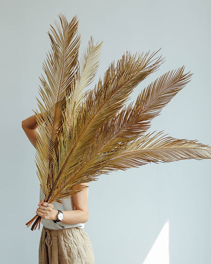 Trawa pampasowa suszony liść długość 60 cm