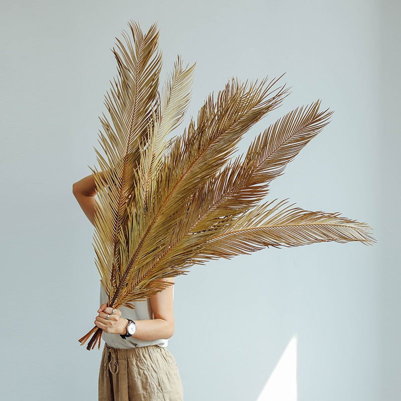 Trawa pampasowa suszony liść długość 60 cm