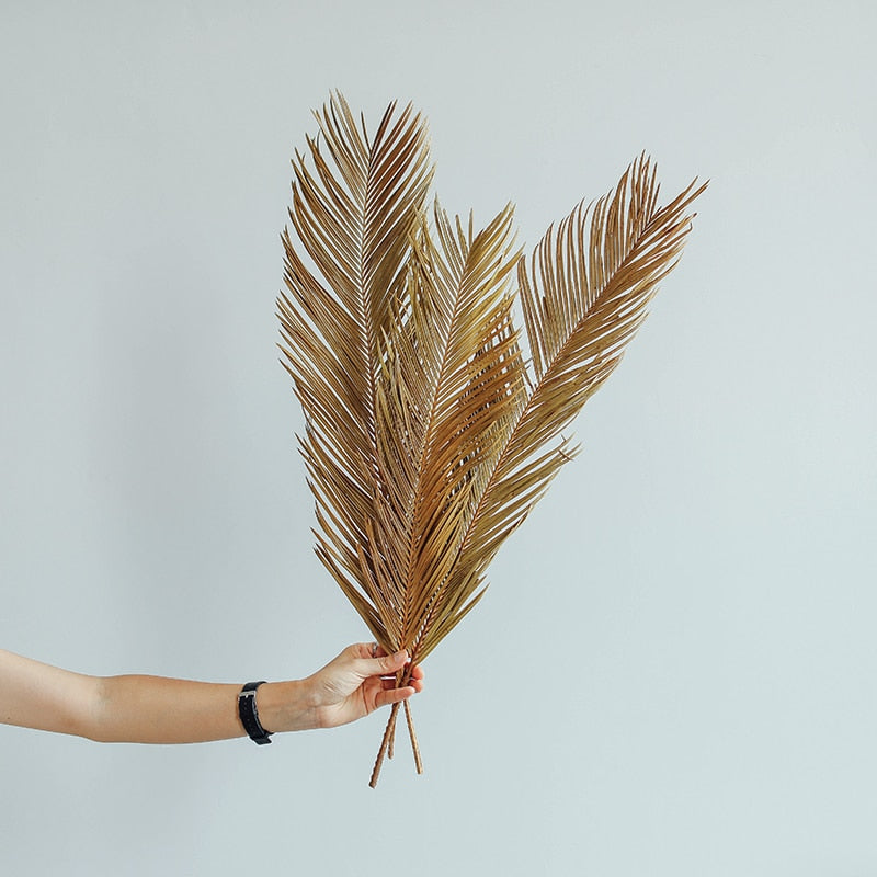 Trawa pampasowa suszony liść długość 60 cm