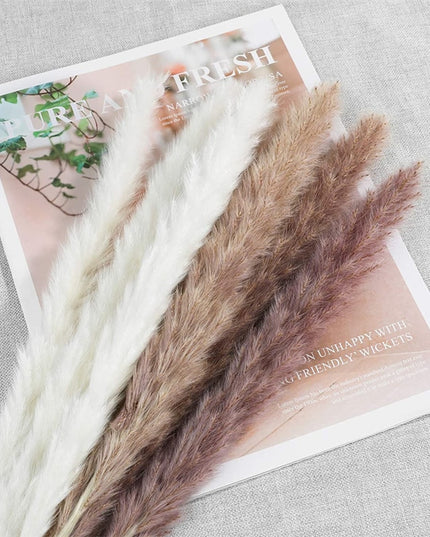 Trawa pampasowa dekoracyjne kwiaty długość 45 cm 15 sztuk