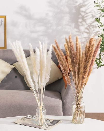 Trawa pampasowa dekoracyjne kwiaty długość 45 cm 15 sztuk