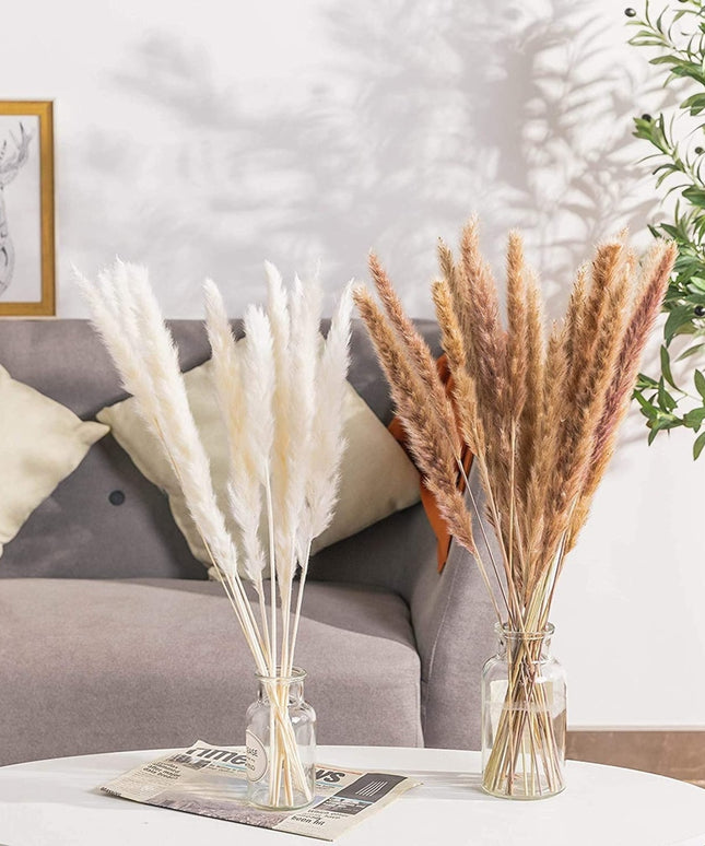 Trawa pampasowa dekoracyjne kwiaty długość 45 cm 15 sztuk