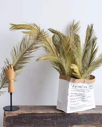 Trawa pampasowa suszony liść długość 60 cm