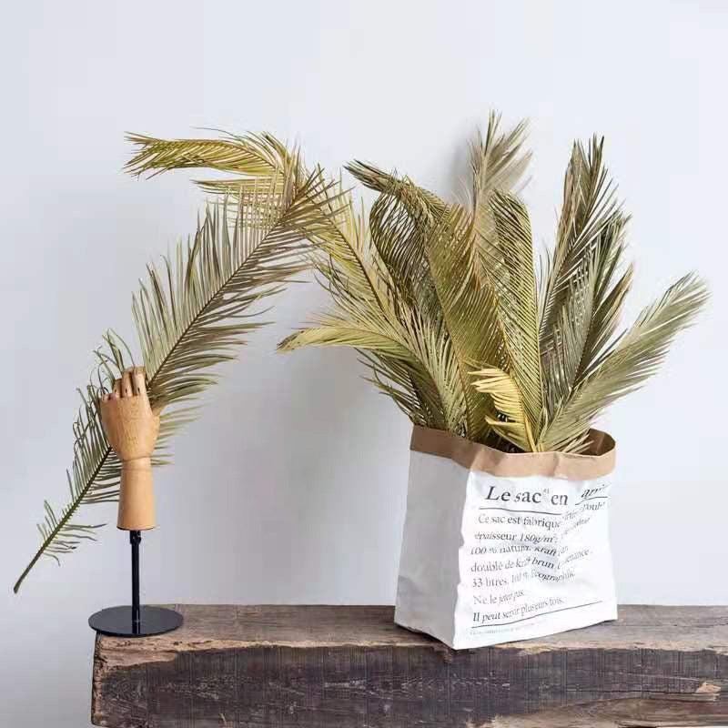 Trawa pampasowa suszony liść długość 60 cm