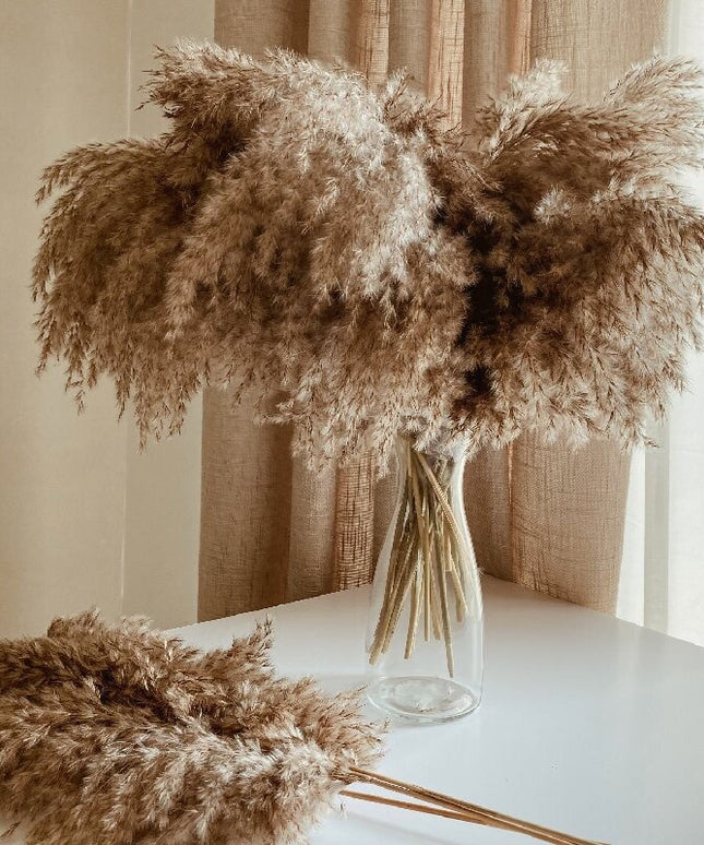 Trawa pampasowa w jasnych kolorach długość 40 cm 10 sztuk