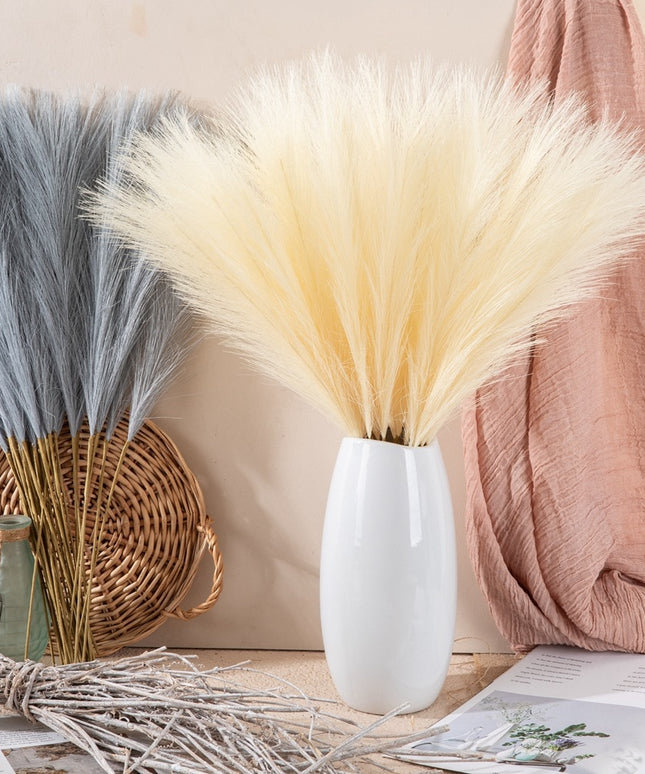 Trawa pampasowa w stylu boho długość 55 cm 5 sztuk