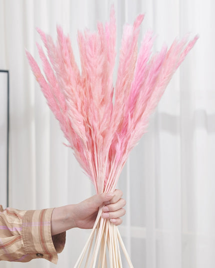 Trawa pampasowa dekoracyjna długość 40 cm 30 sztuk