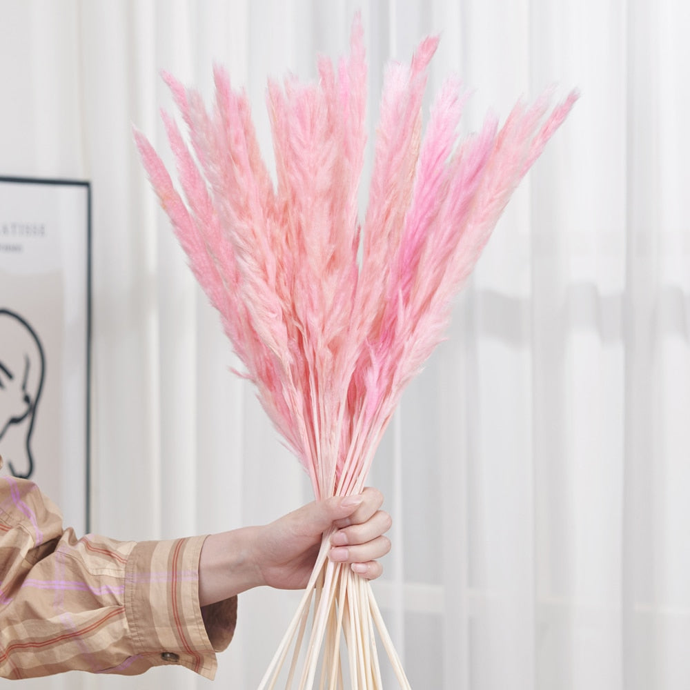 Trawa pampasowa dekoracyjna długość 40 cm 30 sztuk