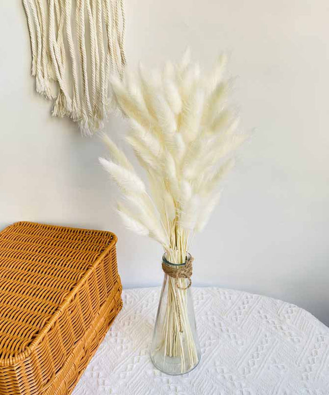 Trawa pampasowa dekoracyjna długość 40 cm 30 sztuk