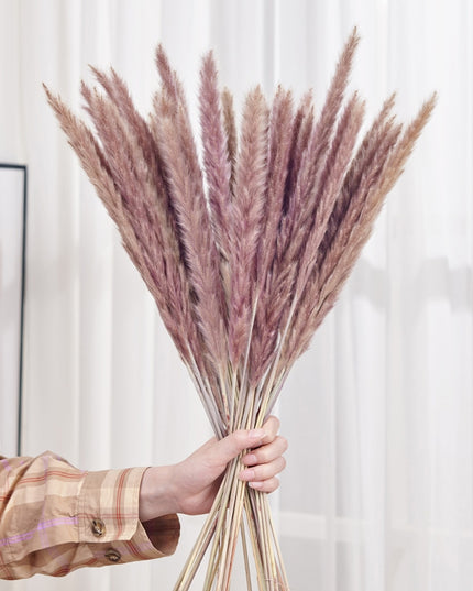 Trawa pampasowa dekoracyjna długość 40 cm 30 sztuk