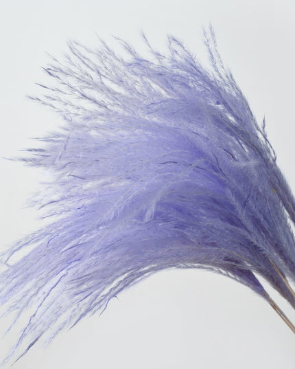 Trawa pampasowa w jasnych kolorach długość 40 cm 10 sztuk