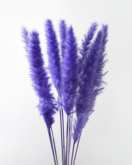 Trawa pampasowa w jasnych kolorach pióropusz długość 40 cm 10 sztuk