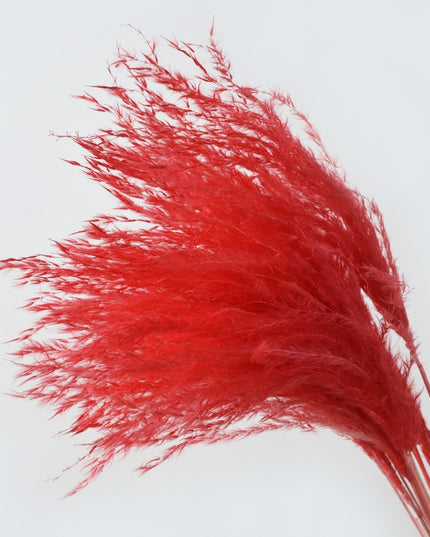 Trawa pampasowa w jasnych kolorach długość 40 cm 10 sztuk