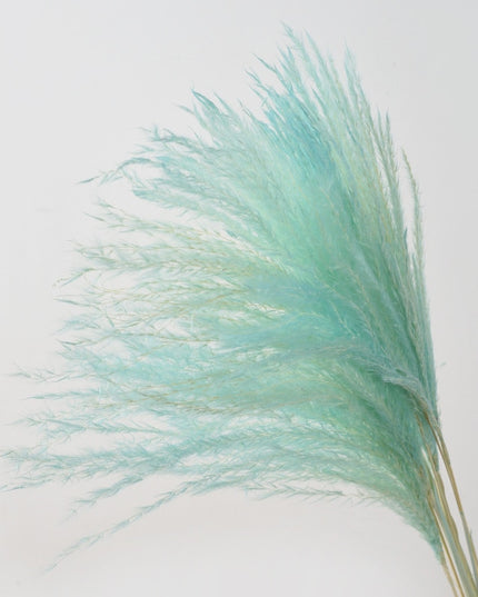 Trawa pampasowa w jasnych kolorach długość 40 cm 10 sztuk