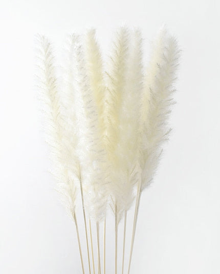 Trawa pampasowa w jasnych kolorach pióropusz długość 40 cm 10 sztuk
