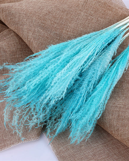 Trawa pampasowa dekoracyjne kwiaty długość 45 cm 15 sztuk