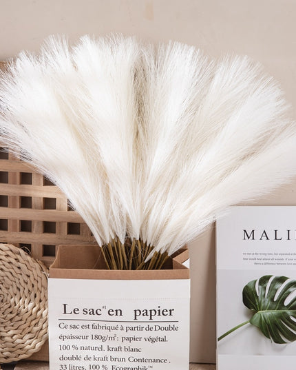 Trawa pampasowa w stylu boho długość 55 cm 5 sztuk