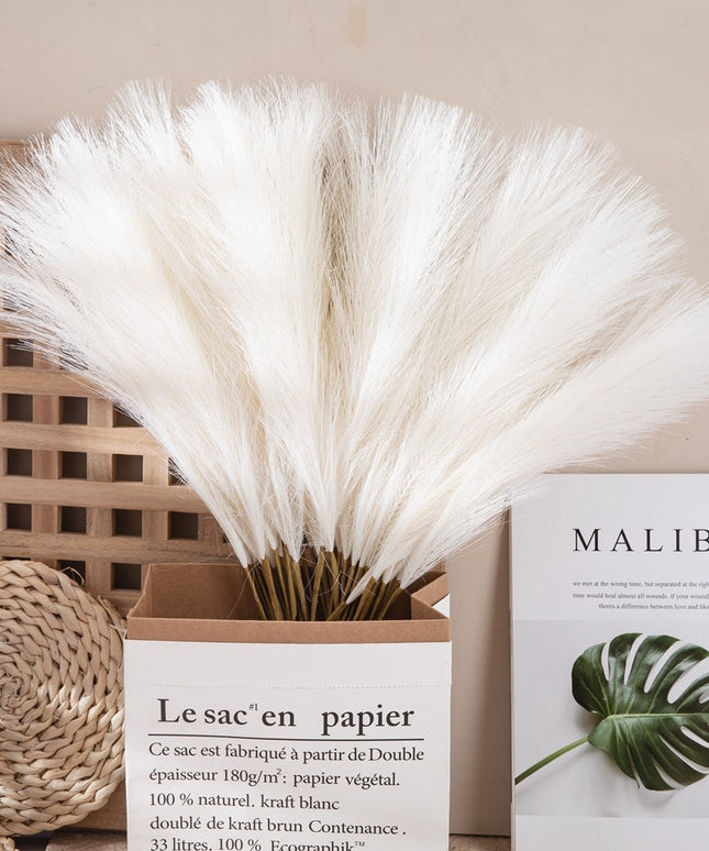 Trawa pampasowa w stylu boho długość 55 cm 5 sztuk