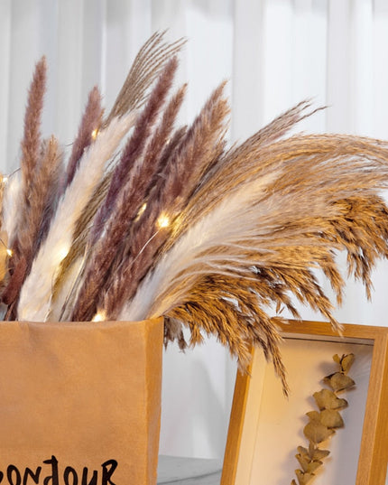 Trawa pampasowa w jasnych kolorach pióropusz długość 40 cm 10 sztuk