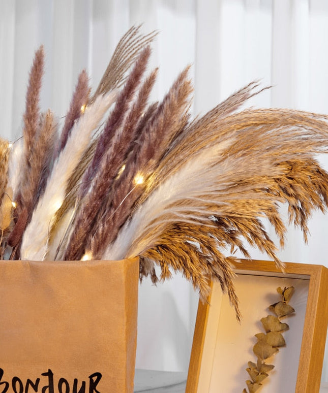 Trawa pampasowa w jasnych kolorach pióropusz długość 40 cm 10 sztuk