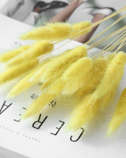 Trawa pampasowa dekoracyjne kwiaty długość 45 cm 15 sztuk